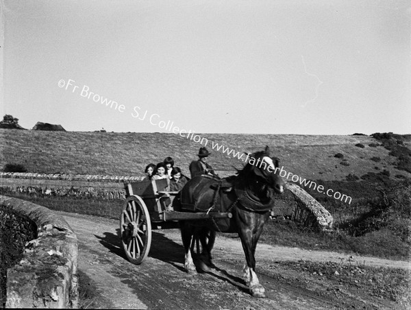 HEADING HOME BY HORSE AND CART